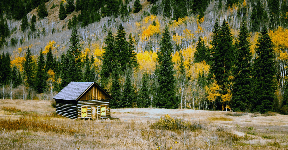 Featured Image for Best States For Living Off the Grid